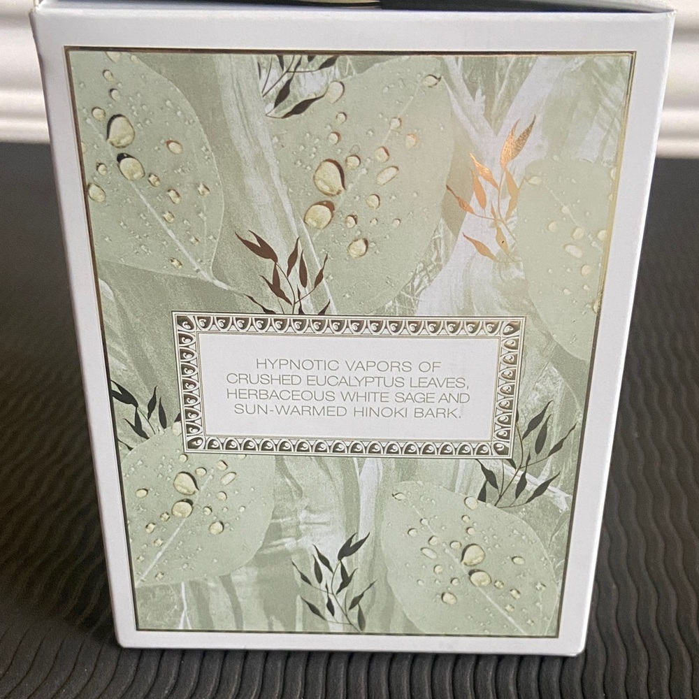 Voluspa Eucalyptus & White Sage Candle in White and Green - Picture 4 of 11